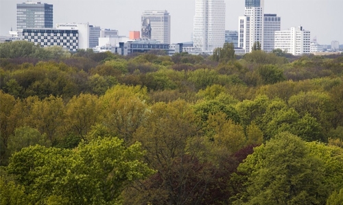 Sleepless in Berlin Sleepless in Berlin