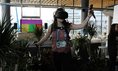 Deforestation from a tree's perspective at the TED conference