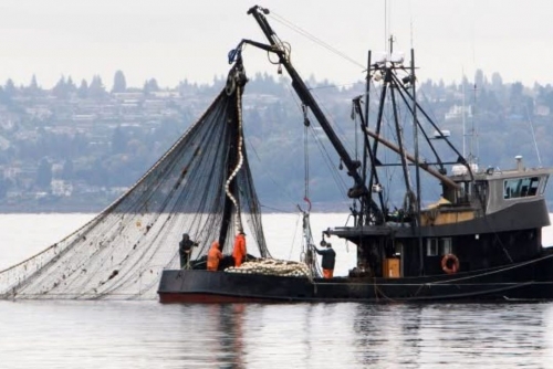 Boat seized for illegal fishing in restricted zone Boat seized for illegal fishing in restricted zone