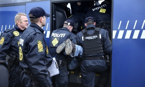 Police hunt baboon on loose in Denmark