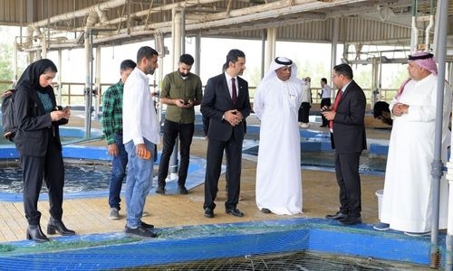 Bahrain students create a splash with Al-powered fish ponds 