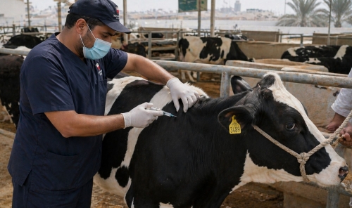 Vets Honoured for Public Health Role