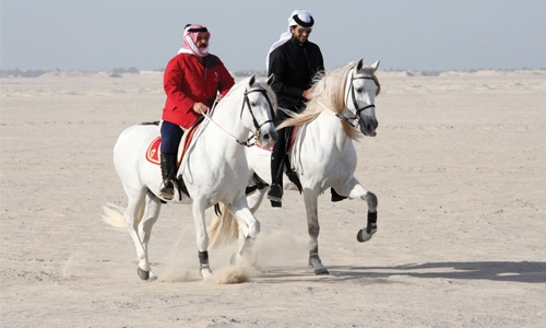 Falconry preparations in full swing Falconry preparations in full swing