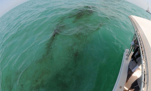 Kuwait reports second oil spill