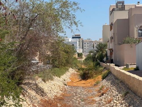 Calls for Urgent Drainage Clean-Up Calls for Urgent Drainage Clean-Up