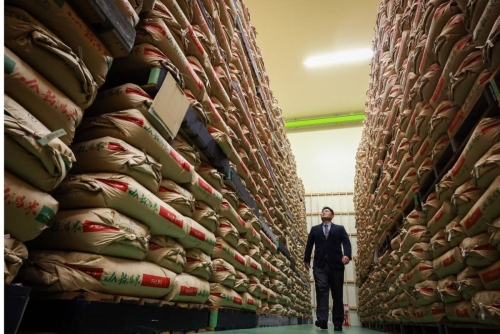 Japan rice prices fall for first time in 3.5 years