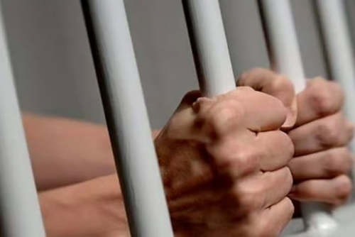 UAE warns of up to 15 years jail, Dh2-million fine for illegal wildlife trade 