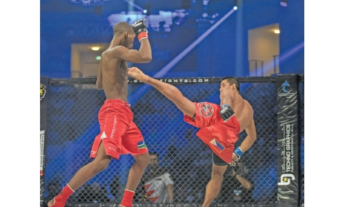 Brave returns in December Brave returns in December