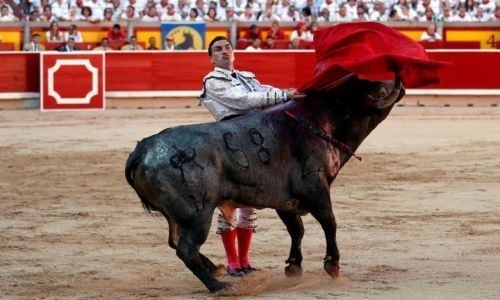 Madrid to host charity bullfight for matadors left jobless by COVID-19
