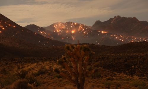 2023 is the hottest year on record, with global temperatures close to 1.5°C limit