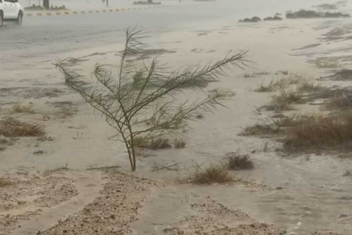 UAE Weather: Heavy Rains and Hail Batter Country as Winter Arrives UAE Weather: Heavy Rains and Hail Batter Country as Winter Arrives