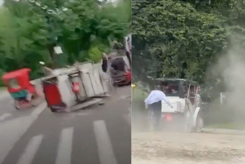 Indian Teen Dies in Central Park Horse Carriage Accident