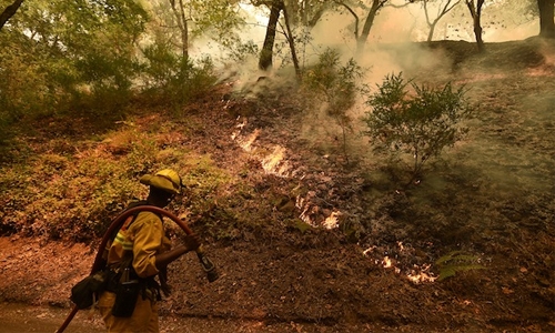 Five firefighters battle California wildfires, bulldozer operator dies