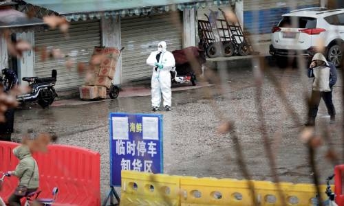 Market in China’s Wuhan likely origin of COVID-19 outbreak Market in China’s Wuhan likely origin of COVID-19 outbreak