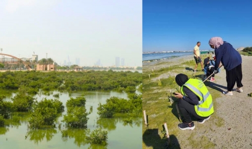 Why Mangroves Matter More Than Ever? Why Mangroves Matter More Than Ever?