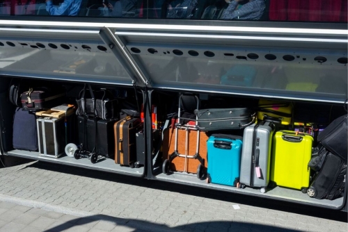 Toddler Rescued from Suitcase on New Zealand Bus