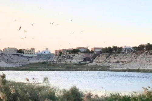 Push for ‘lasting fix’ to Wadi Al Buhair mosquito problem