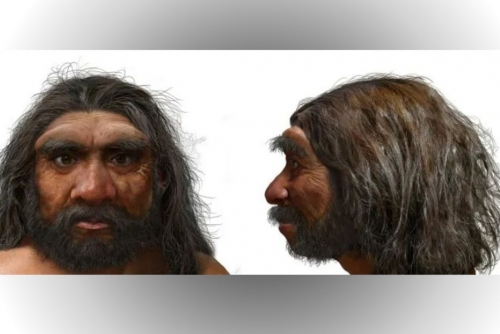 Million-year-old skull could change human evolution timeline