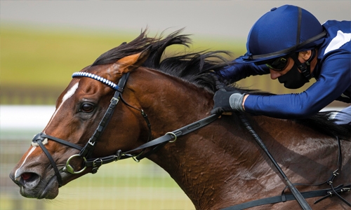 Second edition of Bahrain International Trophy today