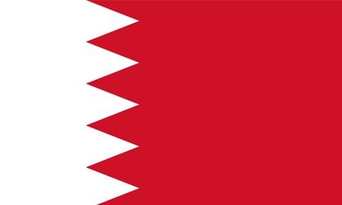 Bahrain’s human rights protection efforts lauded Bahrain’s human rights protection efforts lauded