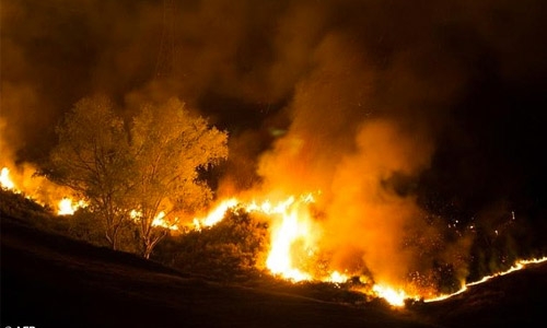 Wildfire razes homes in New Zealand