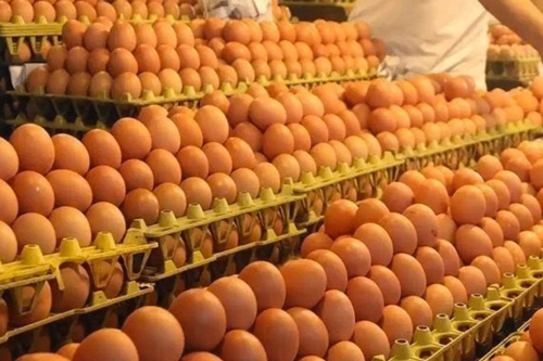 Egg production doubles in Bahrain over decade Egg production doubles in Bahrain over decade