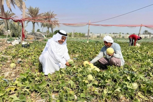 Who Grows Bahrain's Food?