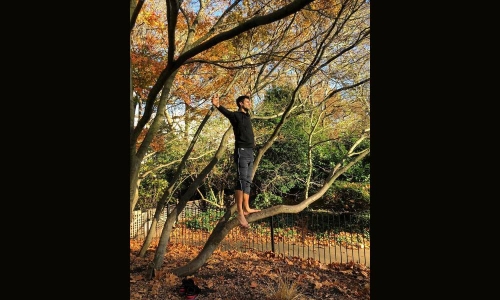 Djokovic’s 15-year ‘special relationship’ with Melbourne tree