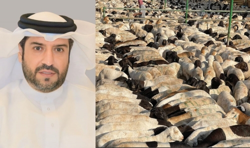 Bahrain imports 35,000 livestock ahead of Eid Bahrain imports 35,000 livestock ahead of Eid