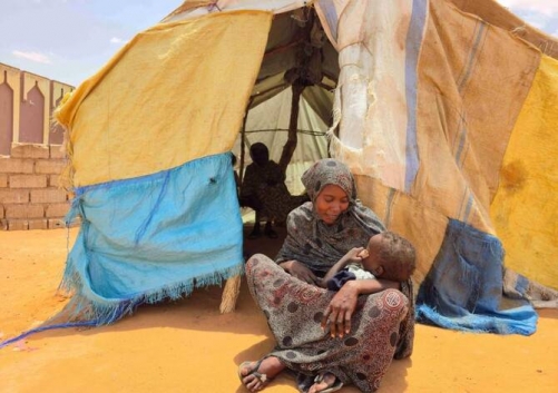 UN aid chief presses Sudan paramilitary leader on El Fasher access UN aid chief presses Sudan paramilitary leader on El Fasher access