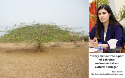 Plan to Track Bahrain’s Old Trees Plan to Track Bahrain’s Old Trees