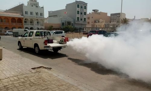 Authorities intensify fogging as mosquito menace stings Bahrain