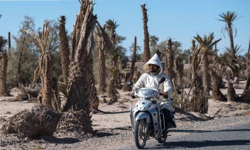 Water supply fears as Morocco hit by worst drought in 40 years Water supply fears as Morocco hit by worst drought in 40 years