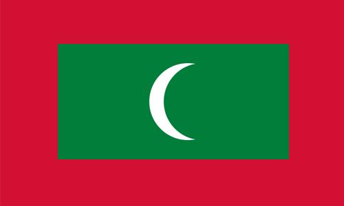 Maldives declares state of emergency Maldives declares state of emergency