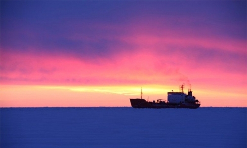 Strong quake shakes Alaska Strong quake shakes Alaska