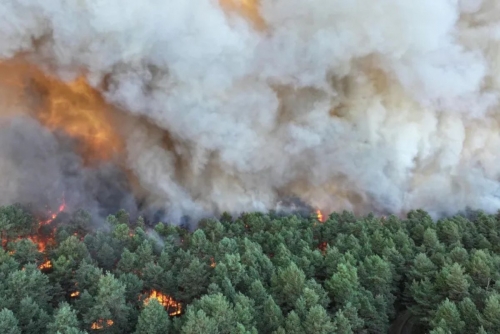 Wildfires ravage over 1,300 hectares of historic forest near Paris Wildfires ravage over 1,300 hectares of historic forest near Paris