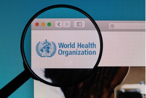 Ebola and hantavirus outbreaks sign of our 'dangerous' times: WHO Ebola and hantavirus outbreaks sign of our 'dangerous' times: WHO