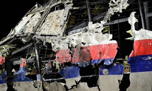 Dutch minister apologises to 'fired' MH17 expert