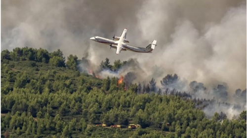 Wildfires Sweep Southern France, 3,000 Evacuated Wildfires Sweep Southern France, 3,000 Evacuated