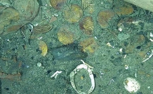 Colombian Authorities Recover First Artifacts From Legendary 1708 “San José” Shipwreck