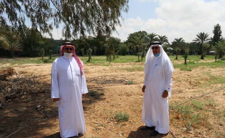 More than 900 tonnes of vegetables are expected to be produced in Duraz, Hoorat A’ali land plots