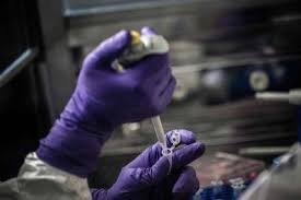 Five Brits test positive for coronavirus in France Five Brits test positive for coronavirus in France