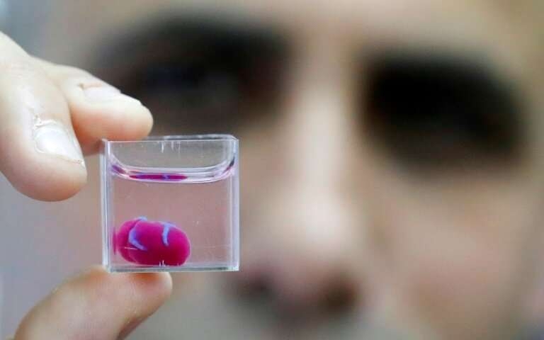 3D print of heart with human tissue, vessels unveiled