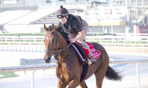 Kingdom Gears Up for Star-Studded Bahrain International Cup