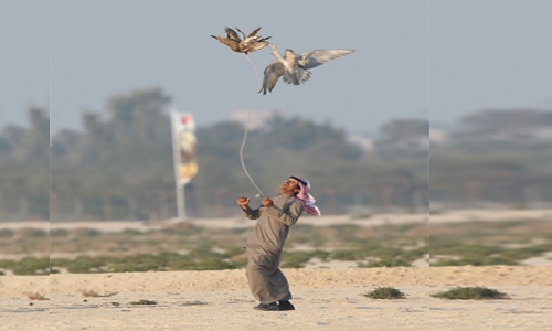 Falcons fly today Falcons fly today