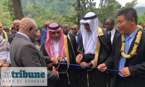 Saudi-funded road network opened 