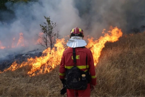 12 Killed as Wildfire Sweeps Through Southern Spain
