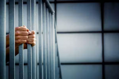 Forgery blunder lands business partner in jail