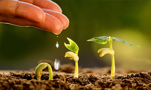 Fourth edition of King Hamad Prize for Agricultural Development launched Fourth edition of King Hamad Prize for Agricultural Development launched