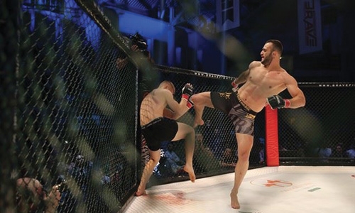 A Brave mission A Brave mission